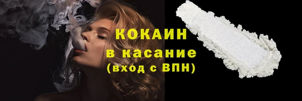 ПСИЛОЦИБИНОВЫЕ ГРИБЫ Арсеньев
