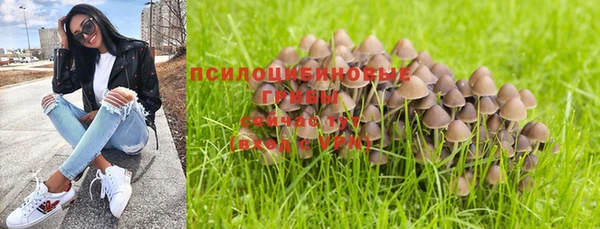 ПСИЛОЦИБИНОВЫЕ ГРИБЫ Арсеньев