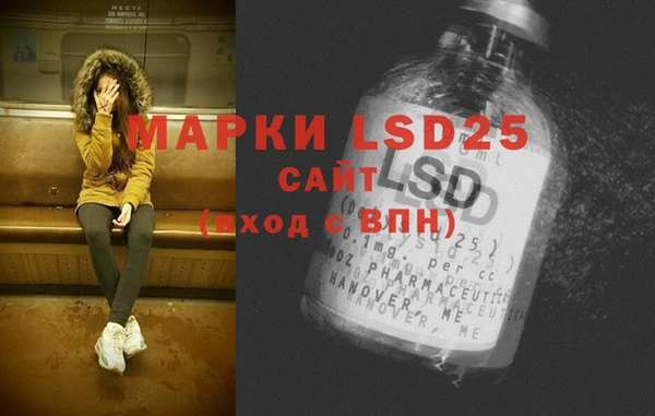 ПСИЛОЦИБИНОВЫЕ ГРИБЫ Армянск