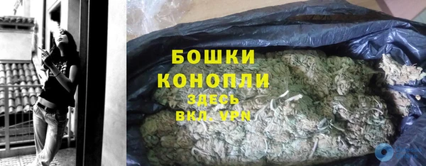 ПСИЛОЦИБИНОВЫЕ ГРИБЫ Арсеньев