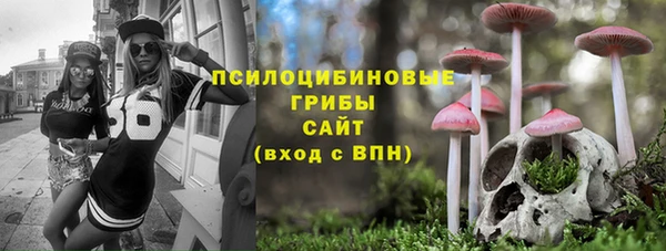 ПСИЛОЦИБИНОВЫЕ ГРИБЫ Арсеньев