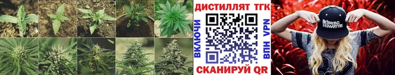 ТГК THC oil  купить наркотики сайты  Баксан 