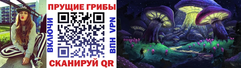 сайты даркнета состав  где купить   Баксан  Псилоцибиновые грибы ЛСД 