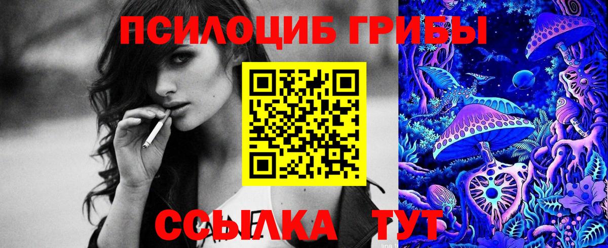 Псилоцибиновые грибы прущие грибы Баксан
