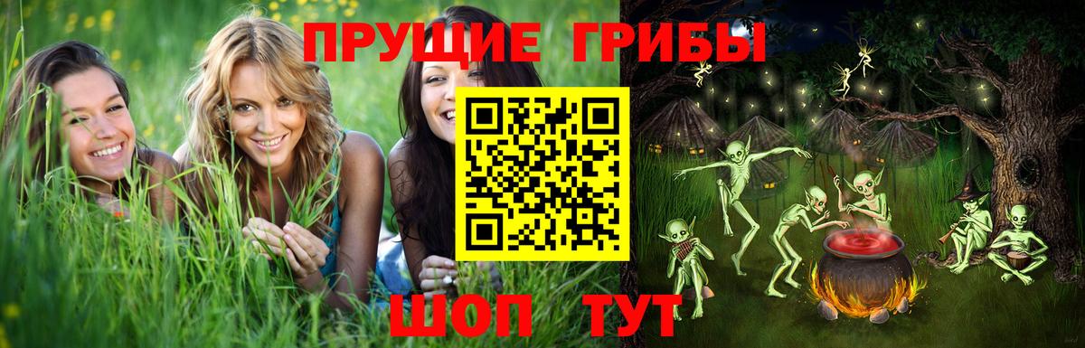 Псилоцибиновые грибы GOLDEN TEACHER  Галлюциногенные грибы Cubensis  дарнет шоп  Баксан  Вход с VPN 